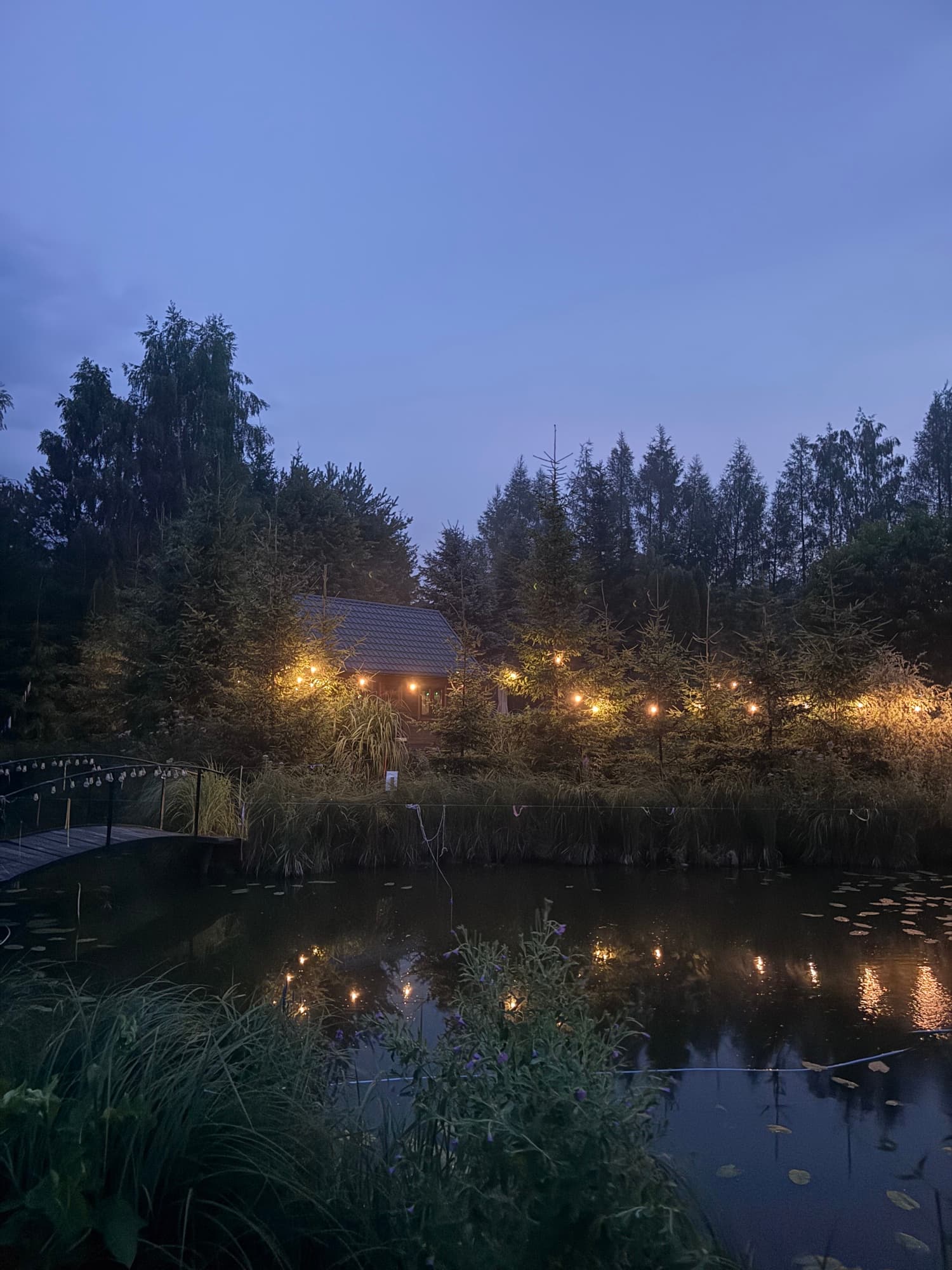 Domek nocą widoczny ze stawu z girlandami swiatelnymi