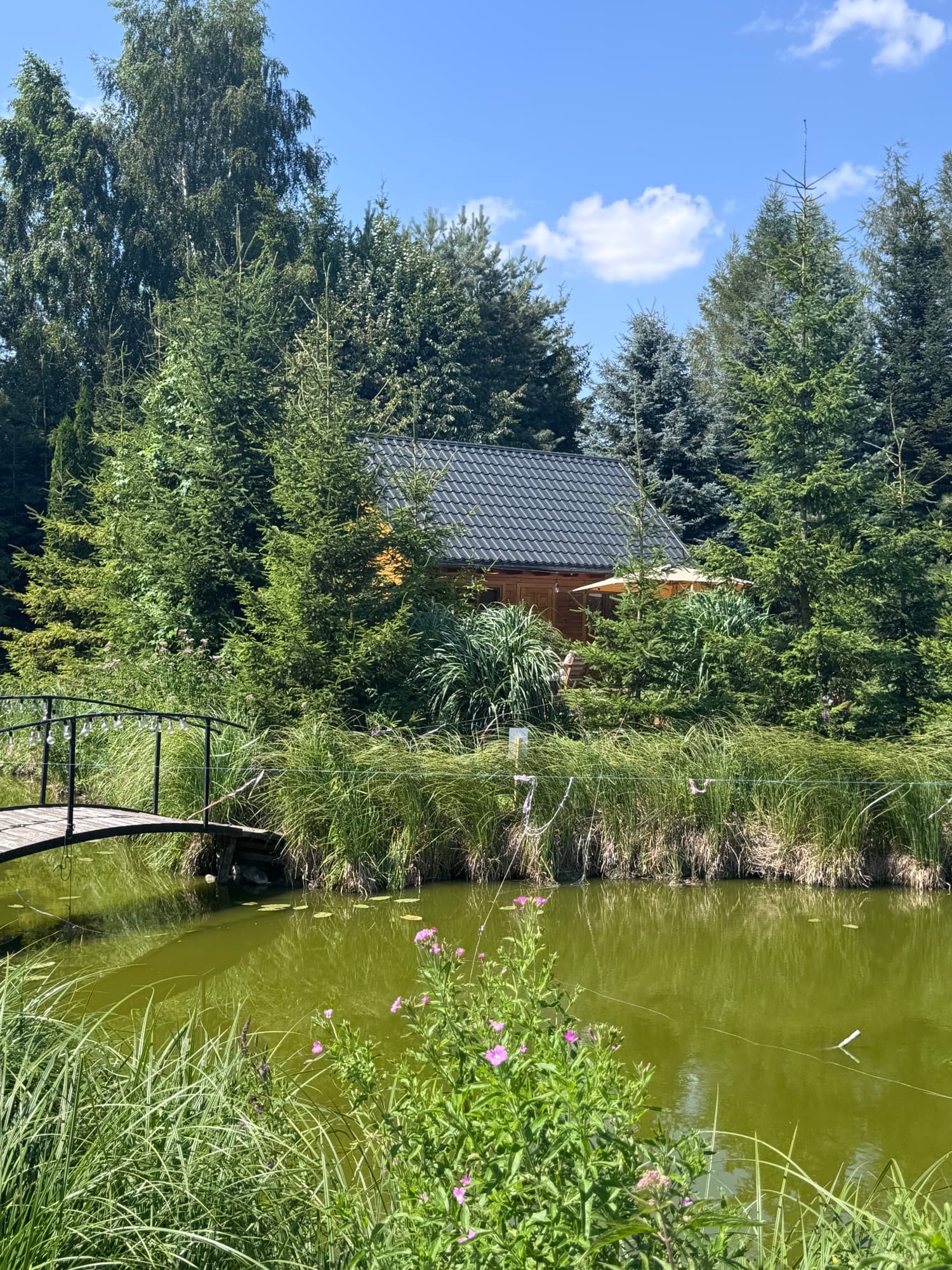 Domek widziany ze stawu przez drewniany mostek