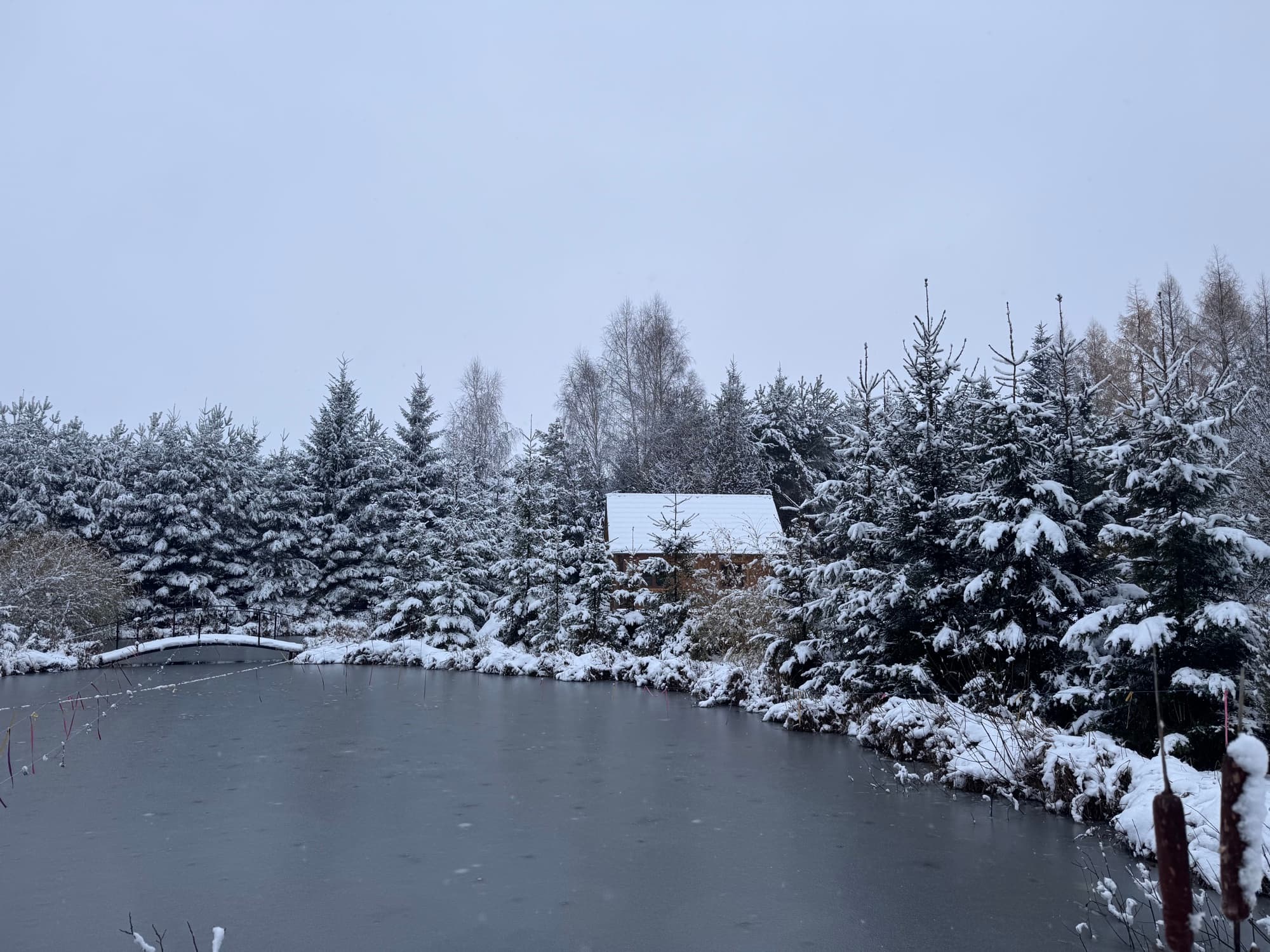 Domek zimą nad zamarzniętym stawem