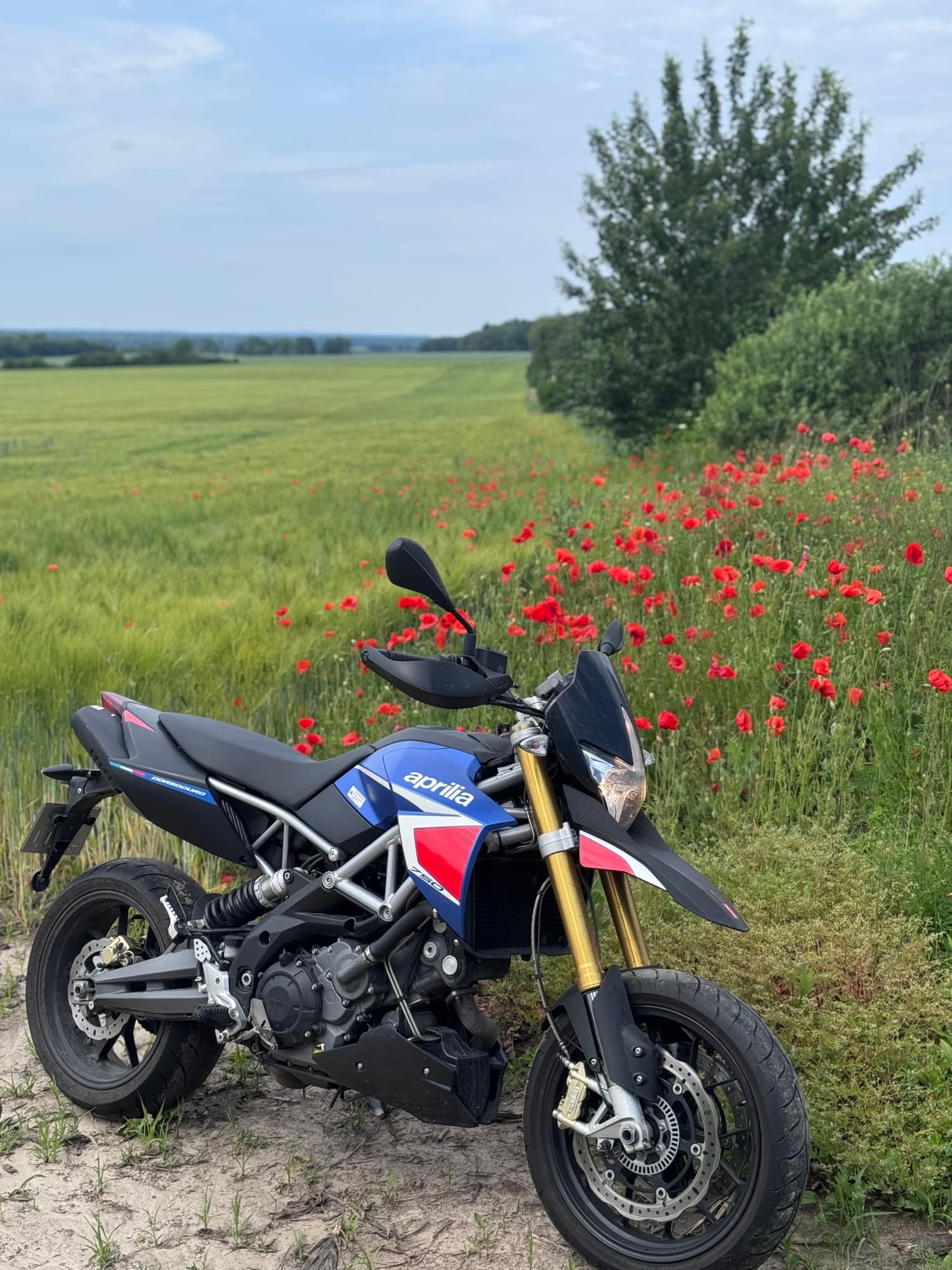 Motocykl Aprilia na tle pola czerwonych makow