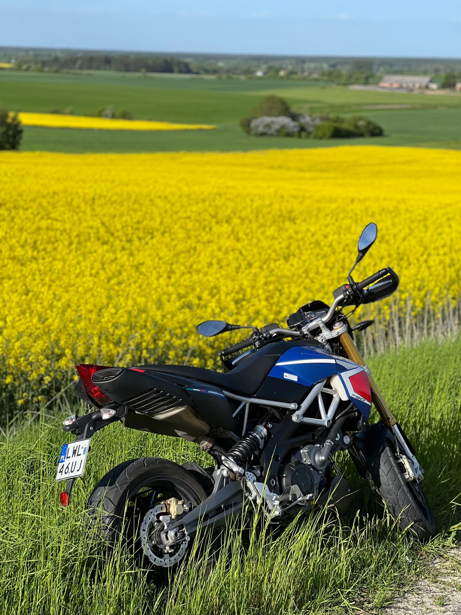 Motocykl na tle zoltego pola rzepaku