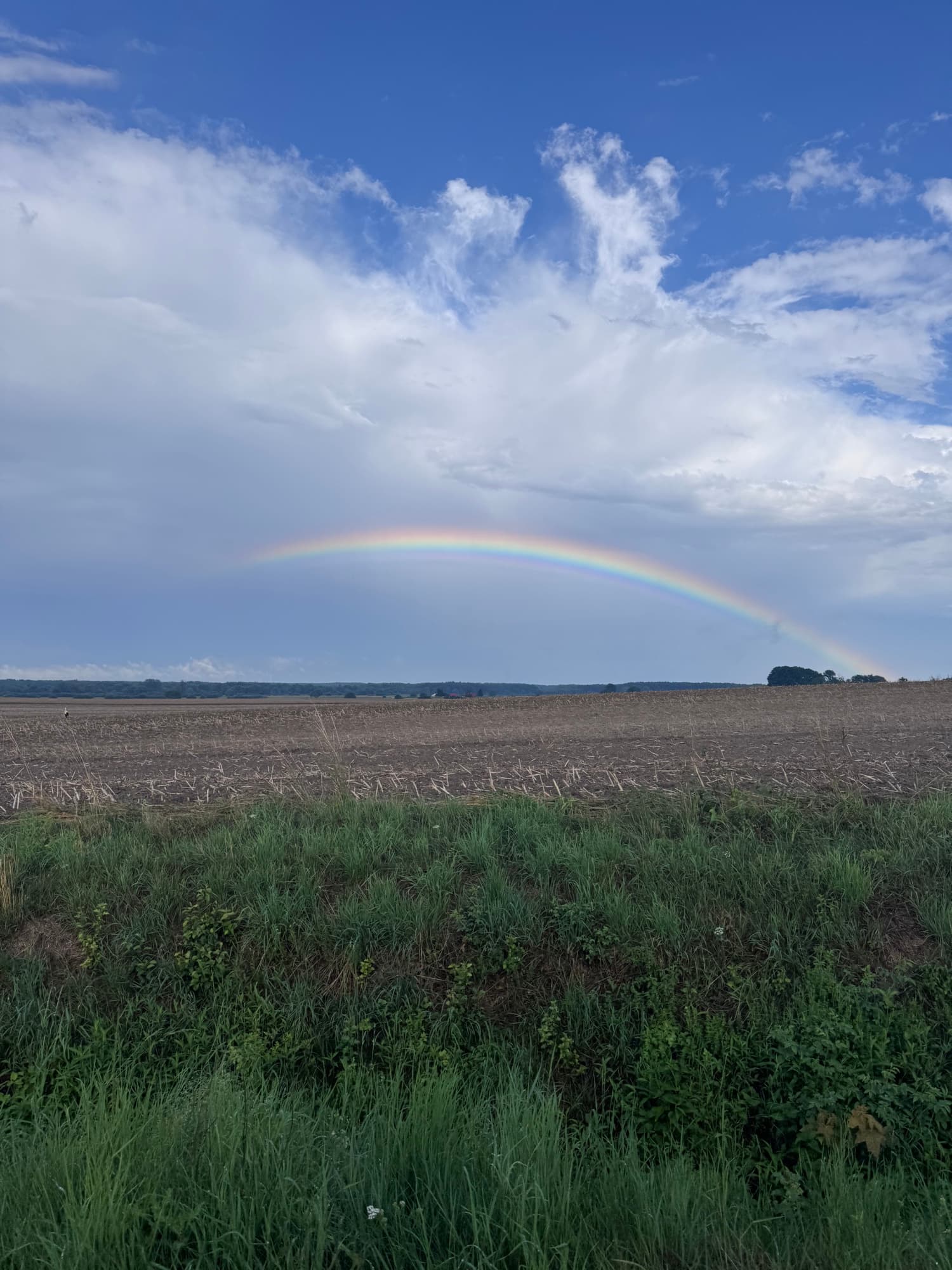 Tecza nad polami w okolicach Woli Uhruskiej