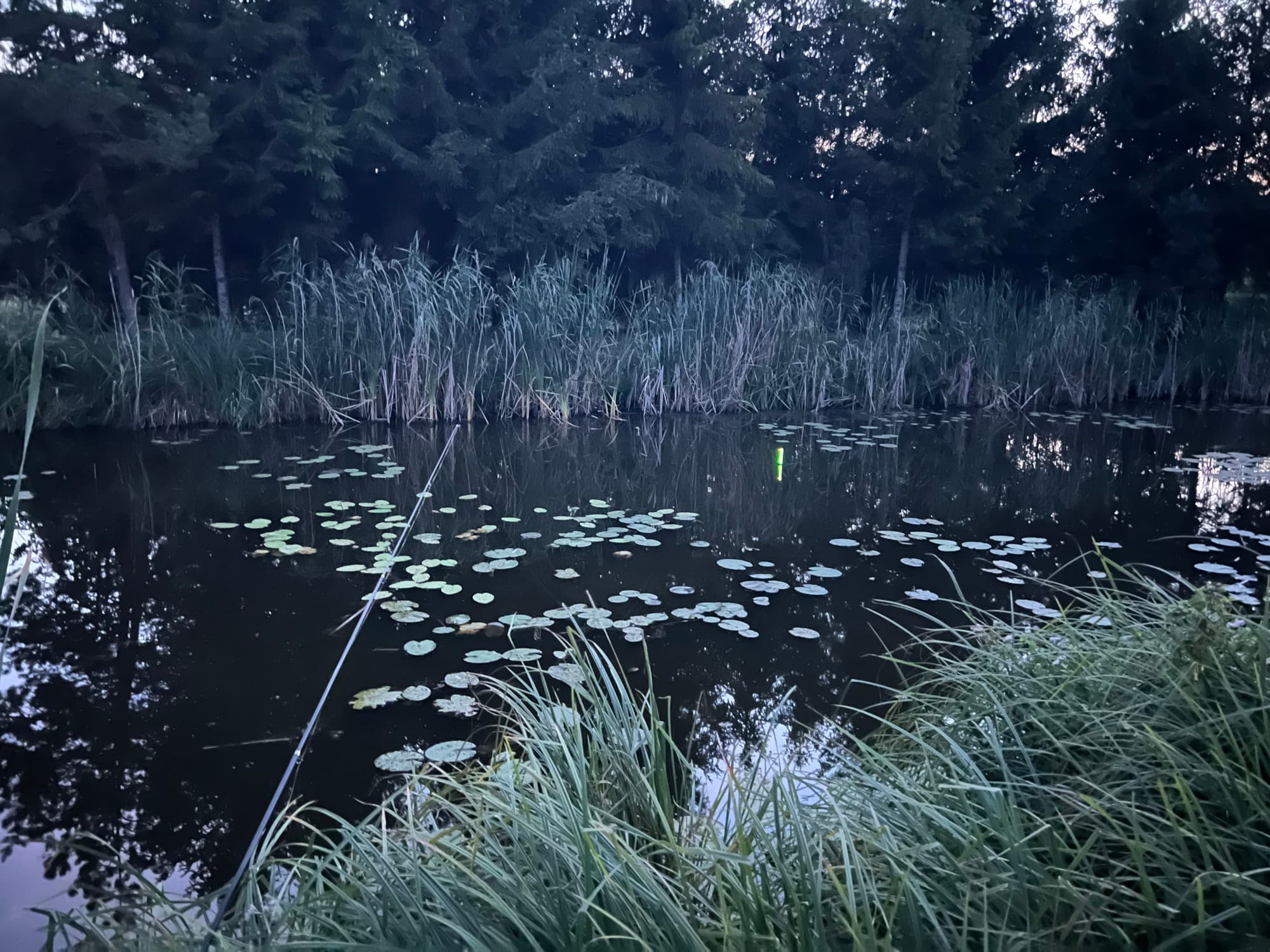 Nocne wedkowanie przy stawie ze swietlistym splawem