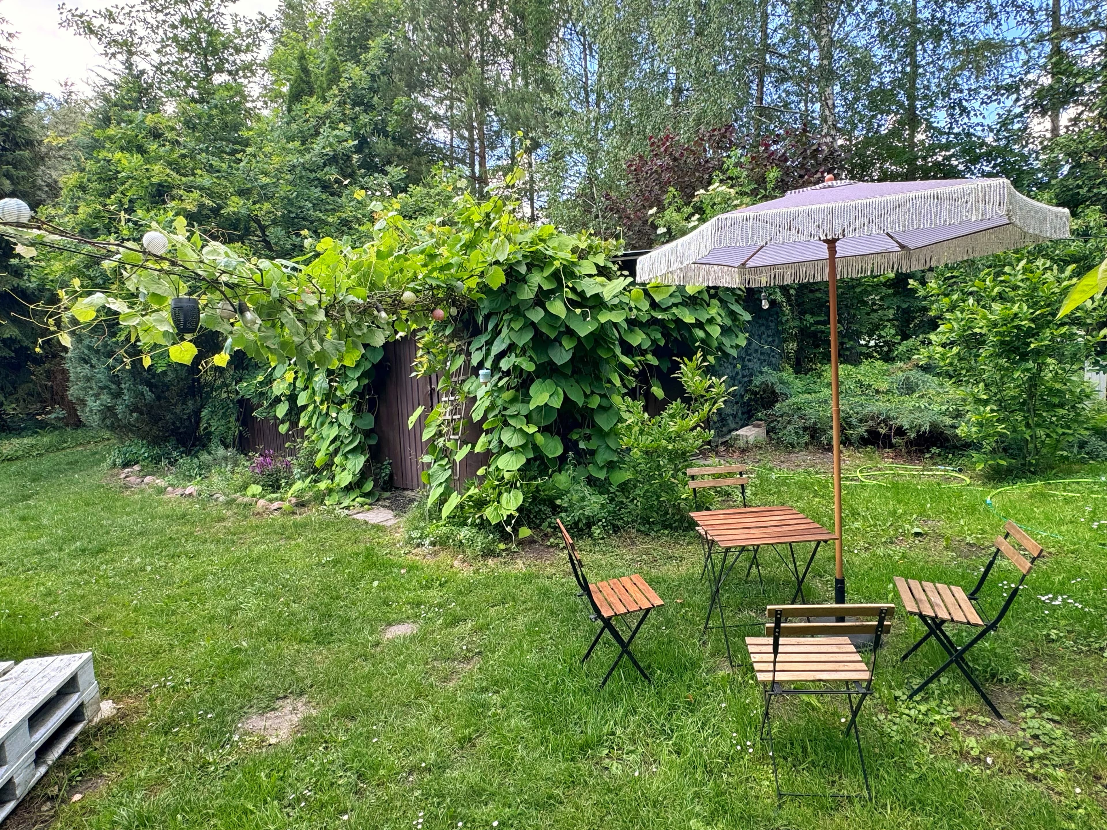 Ogród ze stołem i parasolem