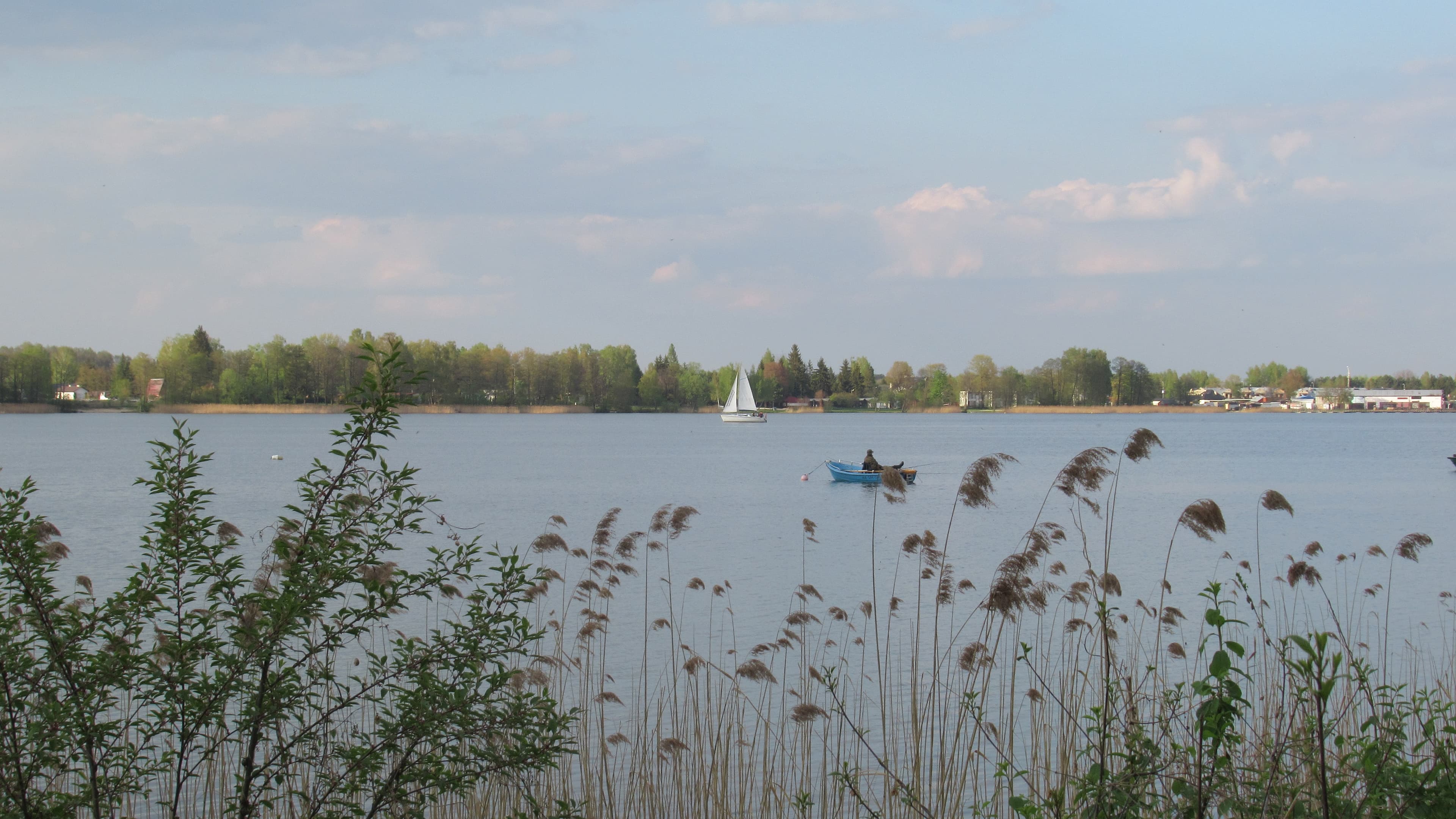 Jezioro Białe w Okunince — najczystsze jezioro Lubelszczyzny