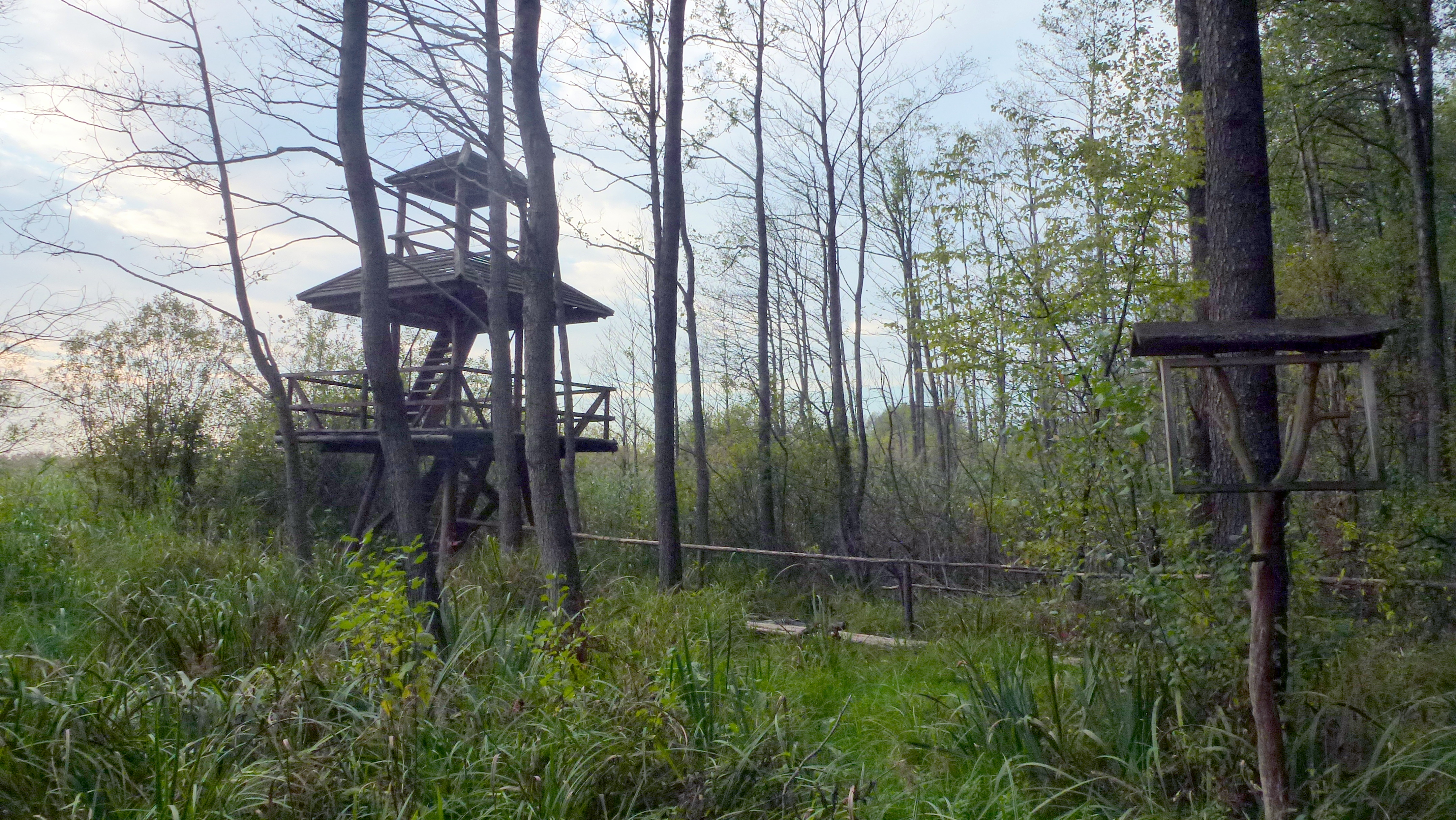 Sobiborski Park Krajobrazowy — dzika przyroda Polesia